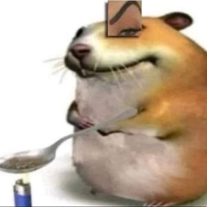 Meet your Posher, Eva